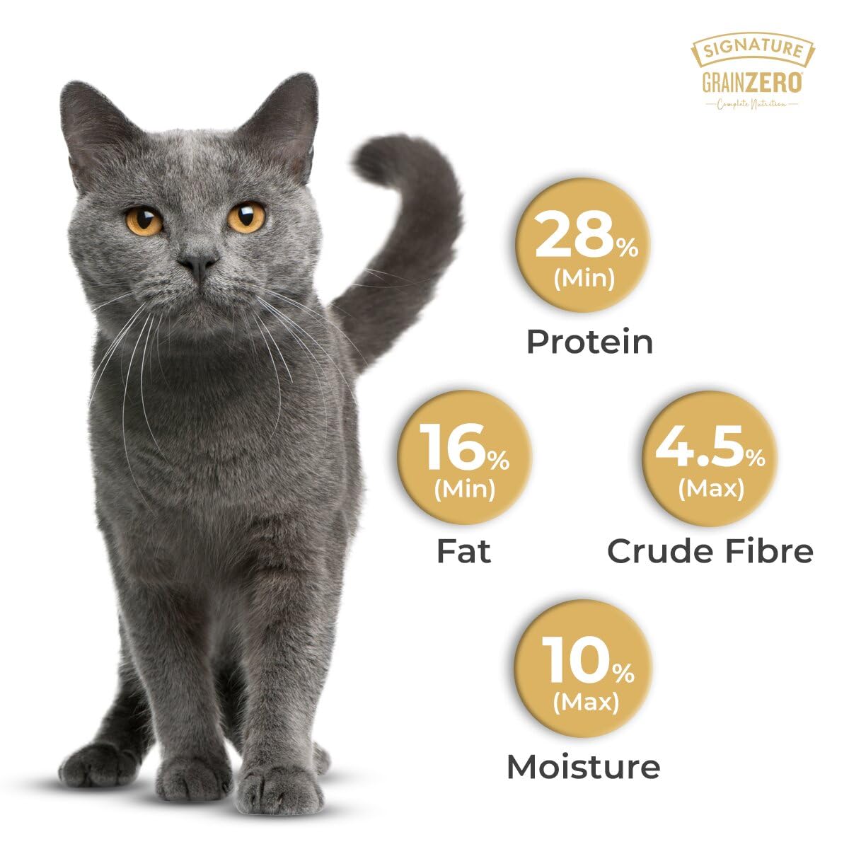Signature Grain Zero Ocean Fish, Sardine and Mackerel Persian & Long Coat Adult Cat Dry Food