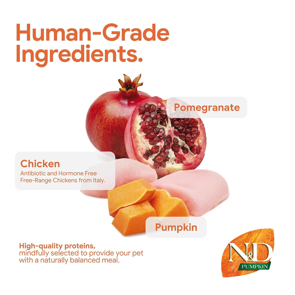 Farmina N&D Pumpkin Chicken & Pomegranate Grain Free Adult Maxi Medium Dog Dry Food