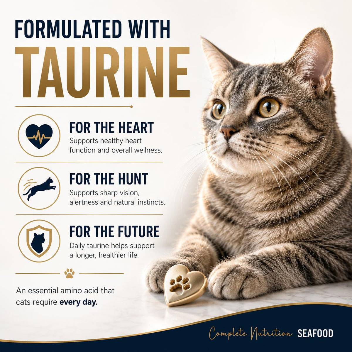Signature Grain Zero Seafood Adult Cat Dry Food For All Breed