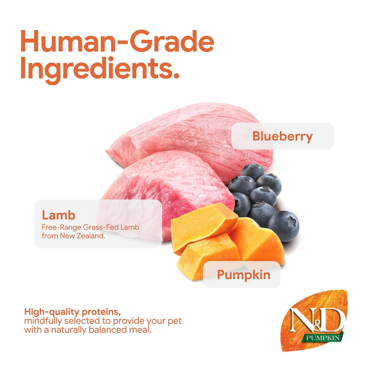 Farmina N&D Pumpkin Lamb & Blueberry Grain Free Puppy Medium Maxi Dog Dry Food