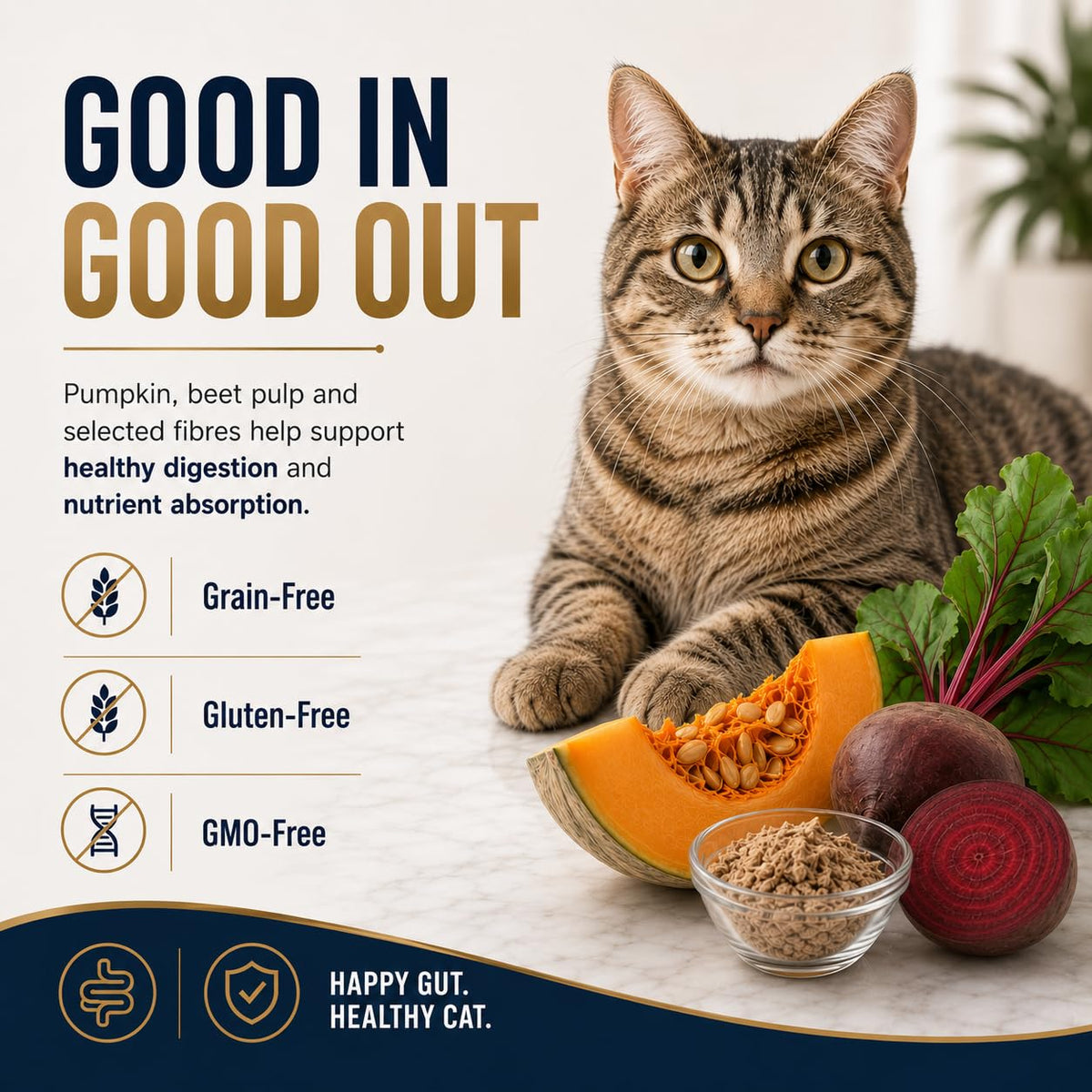 Signature Grain Zero Seafood Adult Cat Dry Food For All Breed