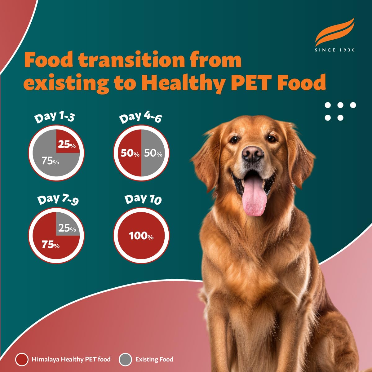 Himalaya Healthy Pet Food feeding day