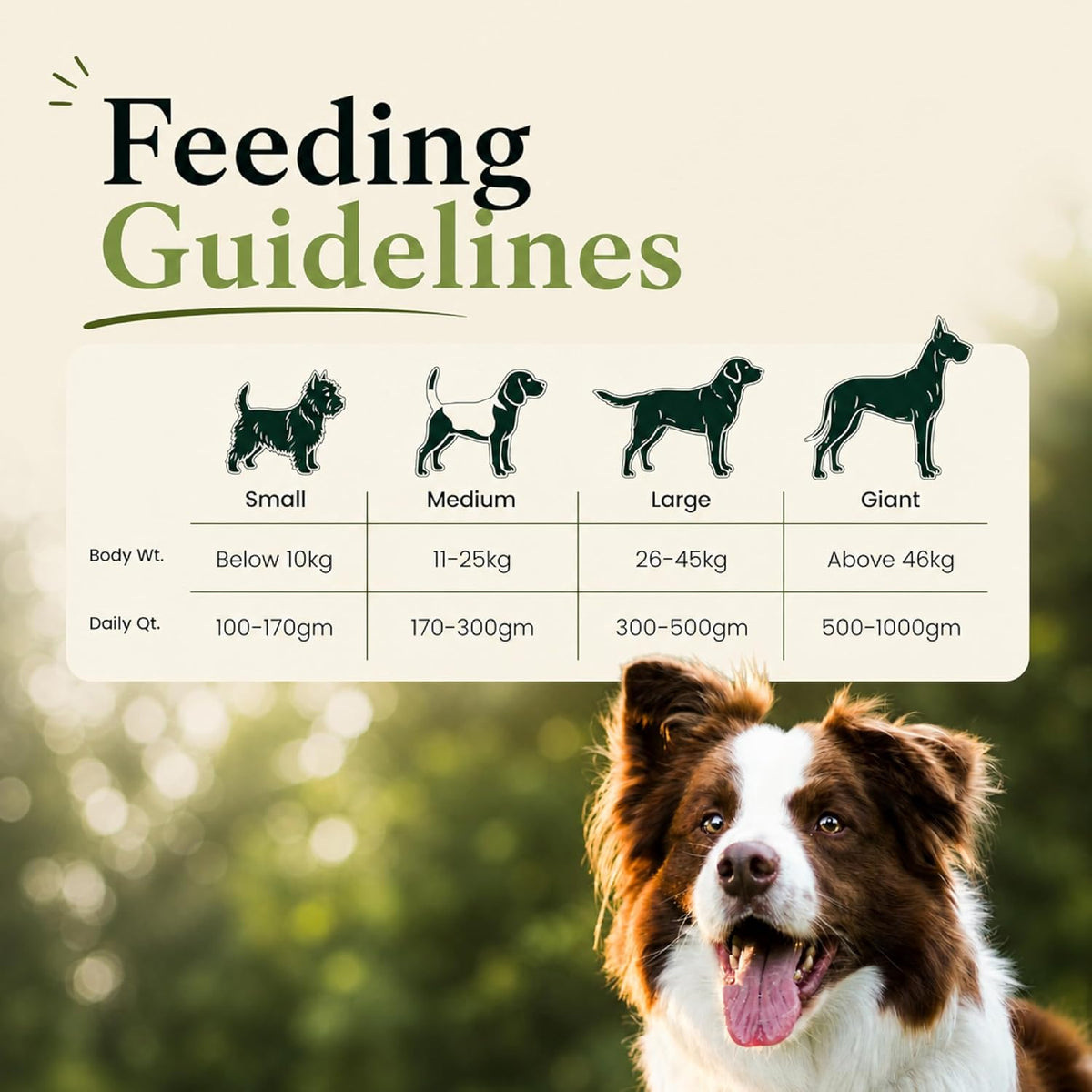 Feeding guidelines for dogs with a blurred natural background