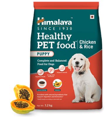 Healthy Pet Food 