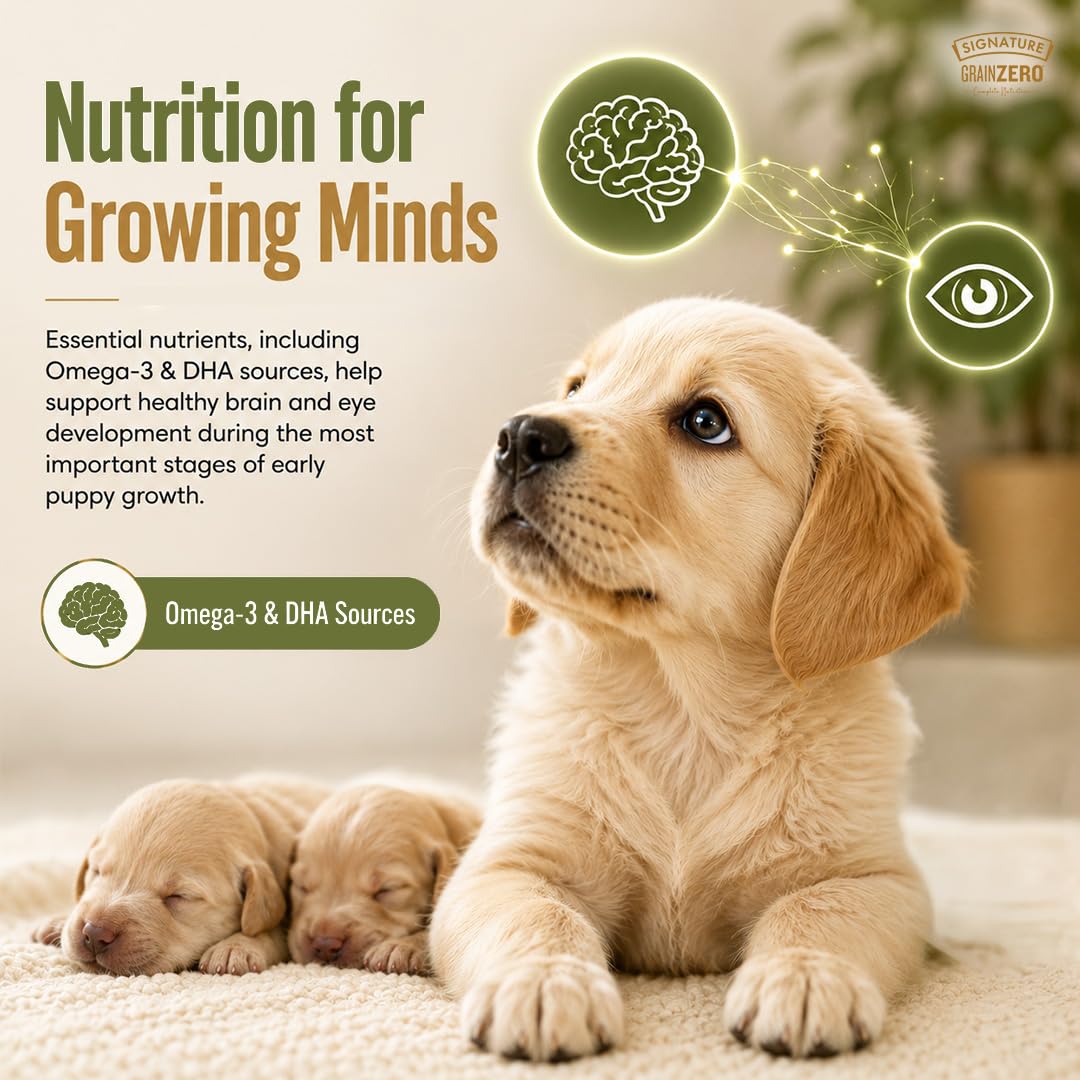 Signature Grain Zero Real Chicken, Egg and Vegetables Mother and Puppy Starter Dog Dry Food