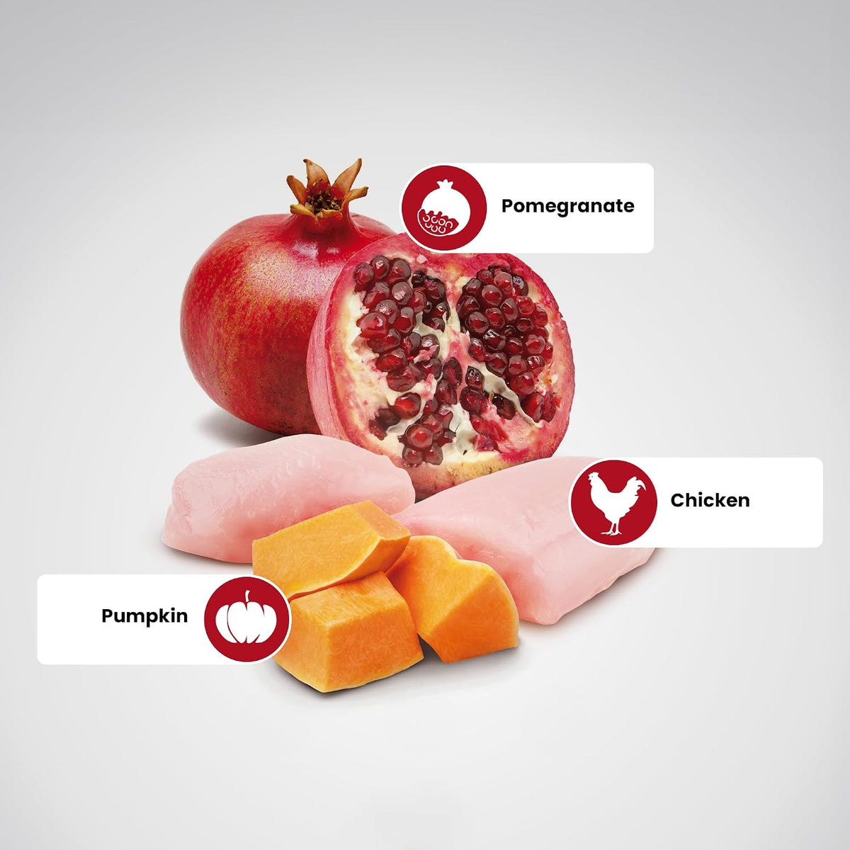 Farmina N&D Pumpkin Chicken & Pomegranate Grain Free Adult Mini Dog Dry Food