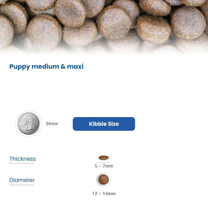 Farmina N&D Pumpkin Lamb & Blueberry Grain Free Adult Medium Maxi Dog Dry Food