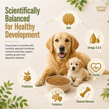 Signature Grain Zero Real Chicken, Egg and Vegetables Mother and Puppy Starter Dog Dry Food