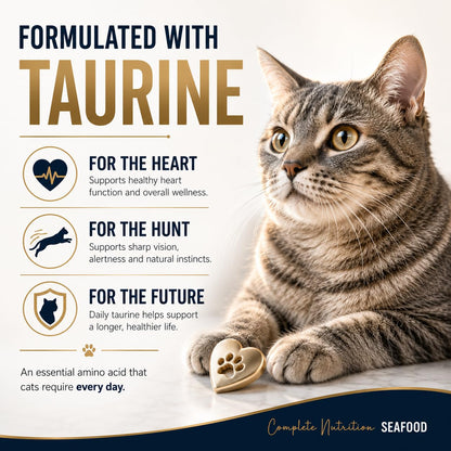 Signature Grain Zero Seafood Adult Cat Dry Food For All Breed