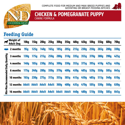 Farmina N&D Pumpkin Chicken & Pomegranate Grain Free Puppy Medium Maxi Dog Dry Food
