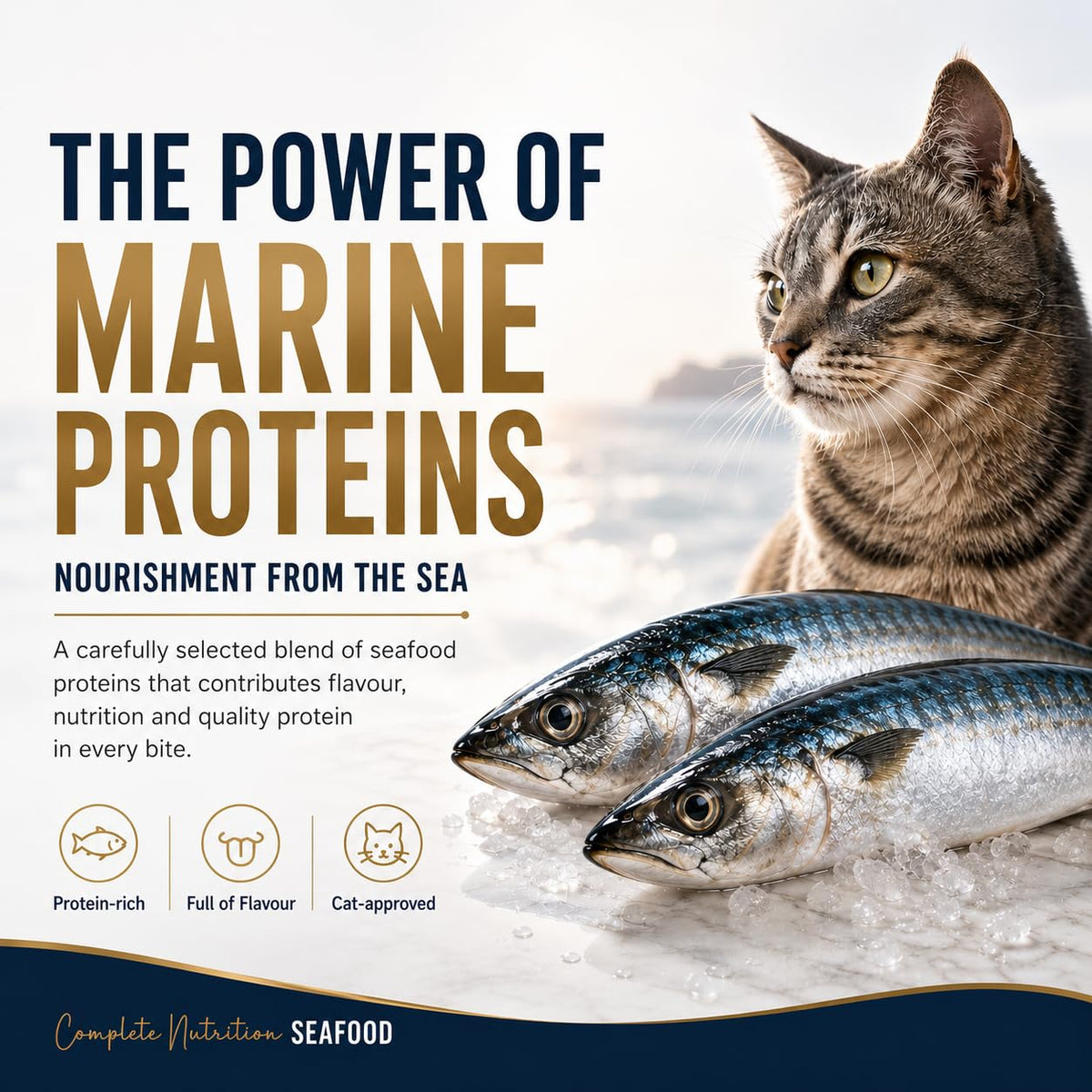 Signature Grain Zero Seafood Adult Cat Dry Food For All Breed