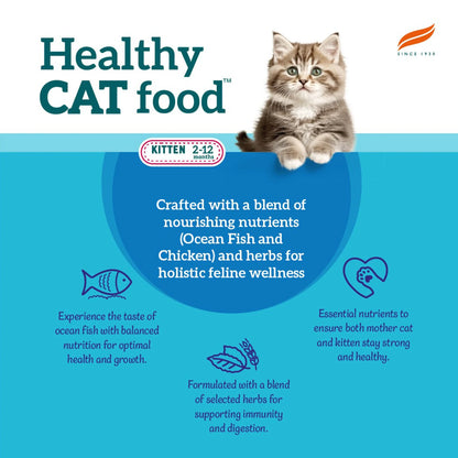 Cat Food – Kitten (Ocean Fish & Chicken)1