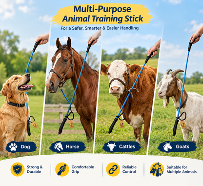 Pinky Paws Training Hunter Stick for Puppies and Dogs Pack of 2