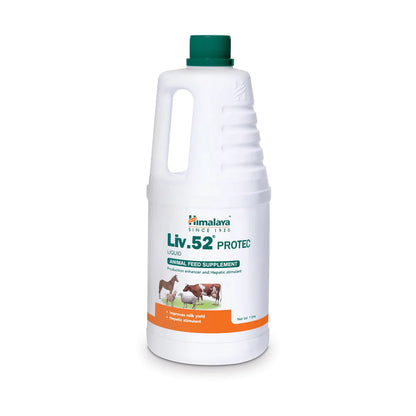 Liv.52 PROTEC Liquid