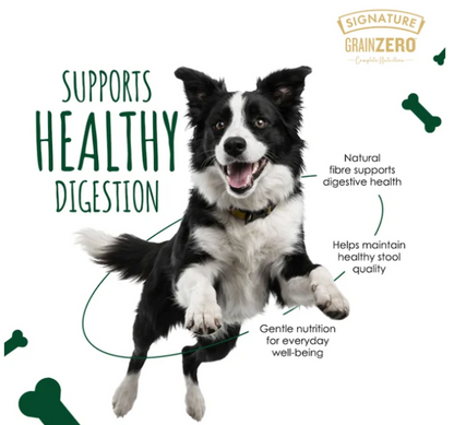 Signature Grain Zero Chicken Chunks Gravy Adult Dog Wet Food ( Buy 5 Get 1 Free)