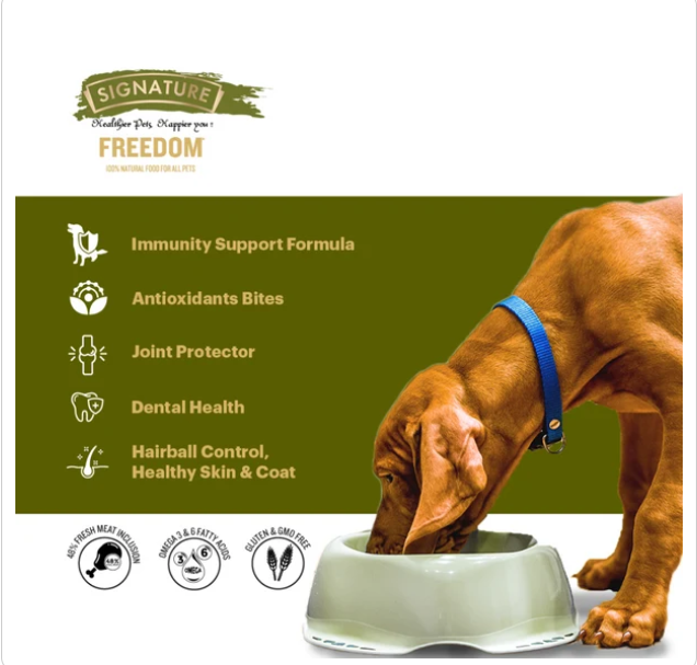 Signature Freedom Chicken and Rice Recipe Adult Dog Dry Food