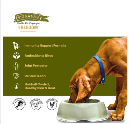 Signature Freedom Chicken and Rice Recipe Adult Dog Dry Food