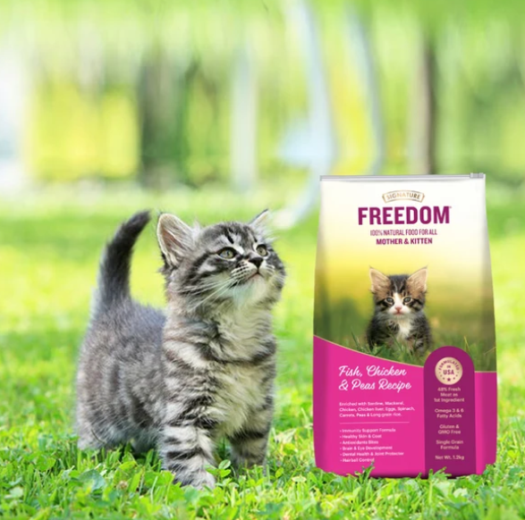 Signature Freedom Fish, Chicken and Peas Recipe Kitten Dry Cat Food