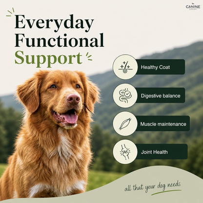 Dog with 'Everyday Functional Support' text and icons for healthy coat, digestive balance, muscle maintenance, and joint health against a natural background.